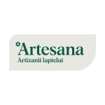 Artesana - Partener Storming to Performing